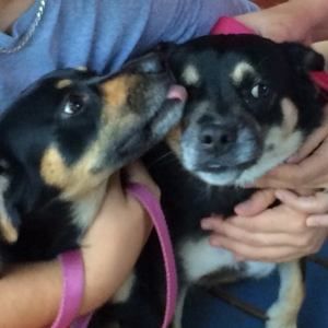 Meet your Posher, Kim